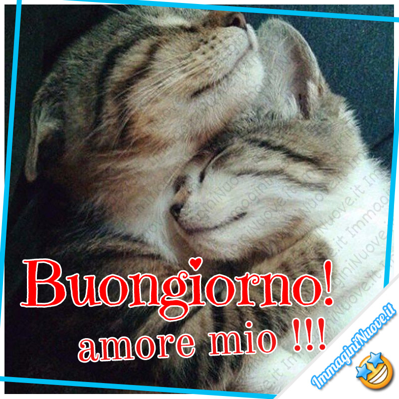 Buongiorno amore mio