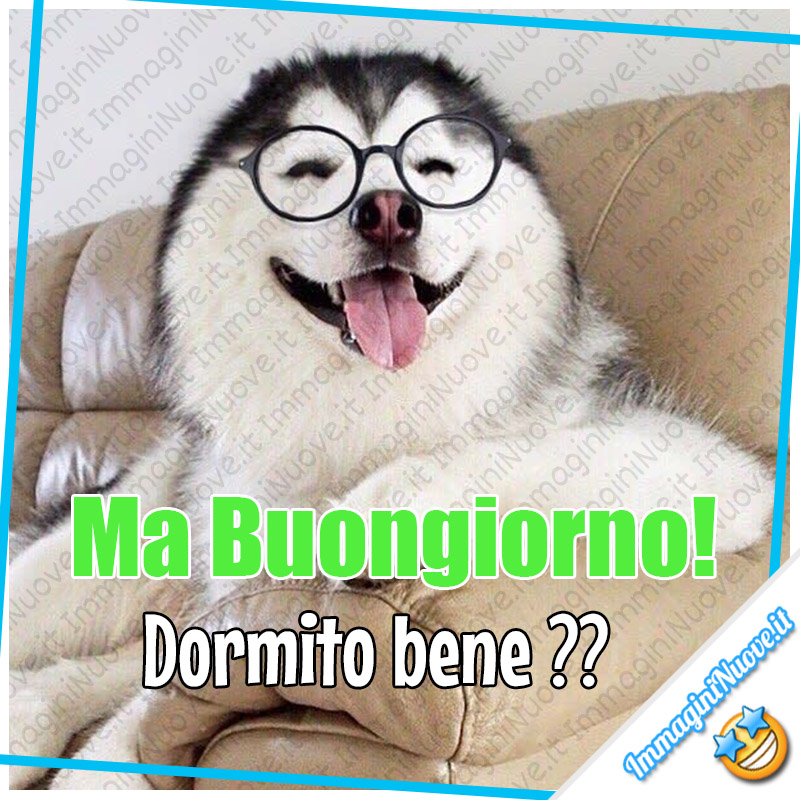 Buongiorno Per Whatsapp Con Gli Animali Immagininuove It