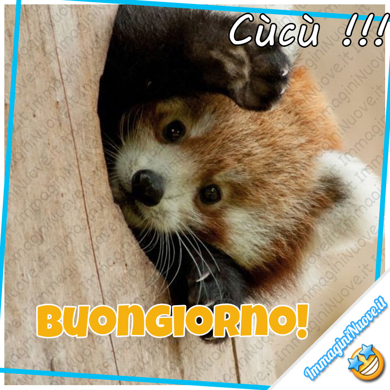 Buongiorno Per Whatsapp Con Gli Animali Immagininuove It