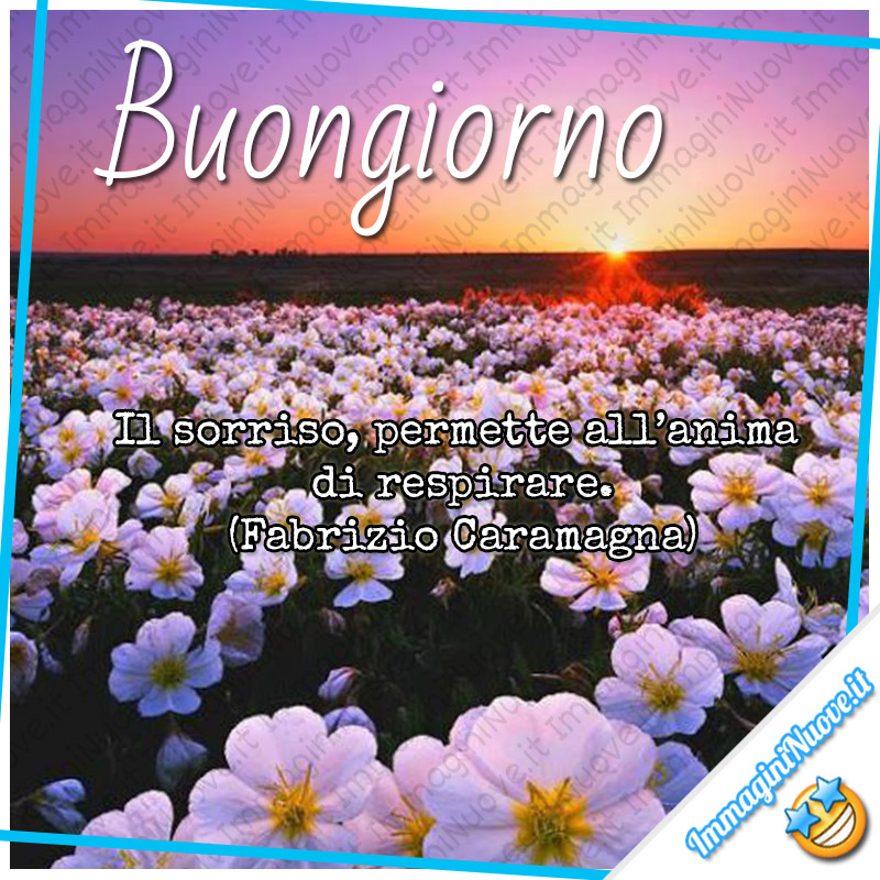 Buongiorno Immagini E Frasi Con I Fiori Immagininuove It