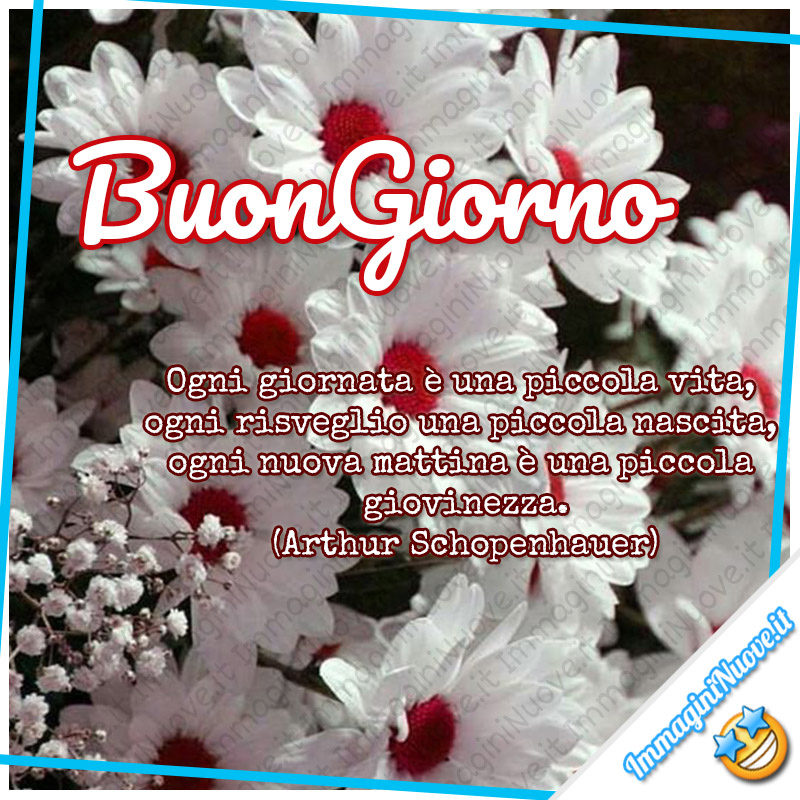 Ogni giornata è una piccola vita, ogni risveglio una piccola nascita, ogni nuova mattina è una piccola giovinezza. (Arthur Schopenhauer)