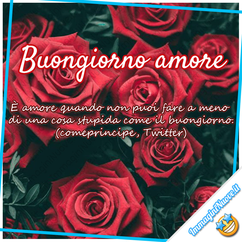 Buongiorno Amore, È amore quando non puoi fare a meno di una cosa stupida come il buongiorno. (comeprincipe, Twitter)