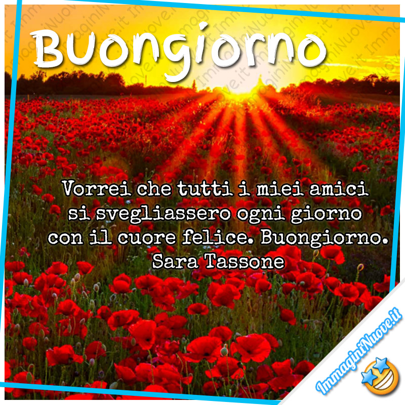 Buongiorno Immagini E Frasi Con I Fiori Immagininuove It