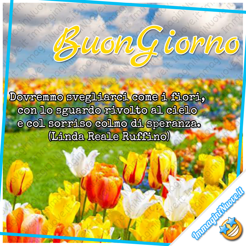 Buongiorno, Dovremmo svegliarci come i fiori, con lo sguardo rivolto al cielo e col sorriso colmo di speranza. (Linda Reale Ruffino)