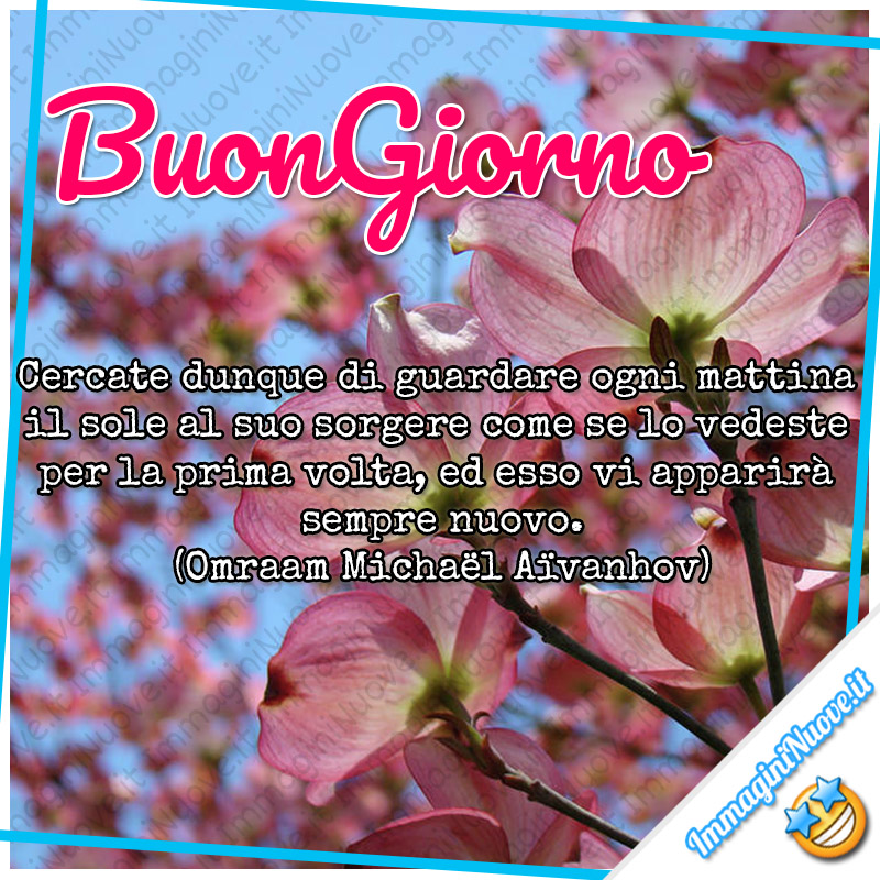 Buongiorno, Cercate dunque di guardare ogni mattina il sole al suo sorgere come se lo vedeste per la prima volta, ed esso vi apparirà sempre nuovo. (Omraam Michaël Aïvanhov)