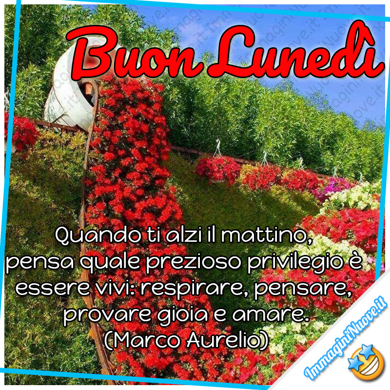 Buon Lunedì, quando ti alzi al mattino, pensa quale prezioso privilegio è essere vivi, respirare, pensare, provare gioia e amare. (Marco Aurelio)