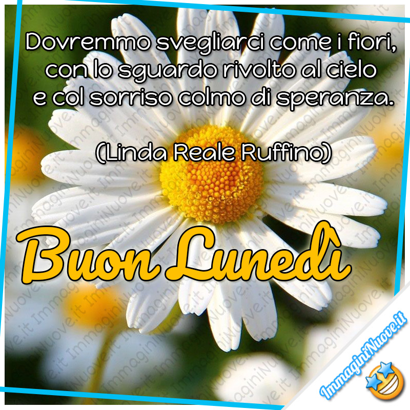 Dovremmo svegliarci come i fiori, con lo sguardo rivolto al cielo e col sorriso colmo di speranza. Buon Lunedì (Linda Reale Ruffino)