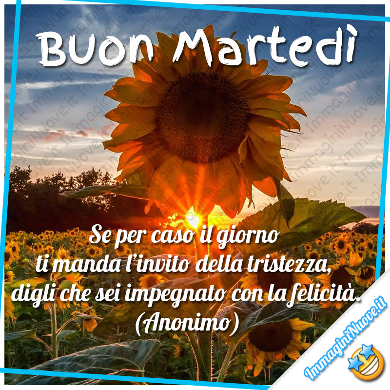 Buon Martedì,Se per caso il giorno ti manda l’invito della tristezza, digli che sei impegnato con la felicità. (Anonimo)