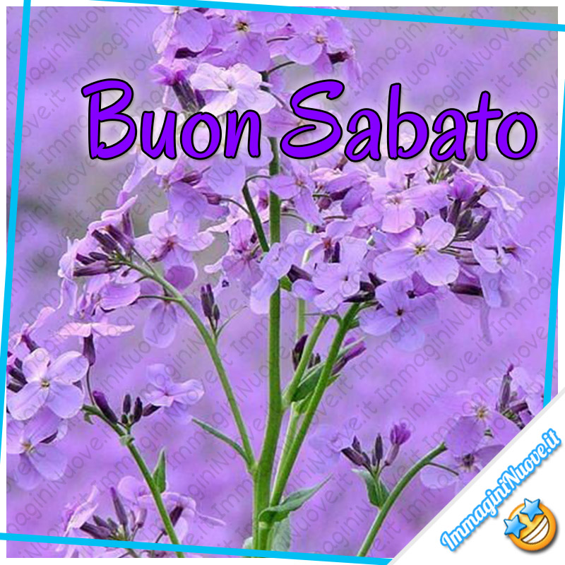 Buon Sabato (coi fiori)