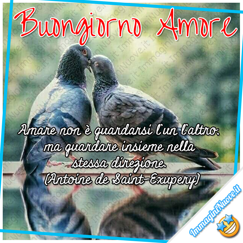 Buongiorno Amore. Amare non è guardarsi l’un l’altro, ma guardare insieme nella stessa direzione. (Antoine de Saint-Exupery)