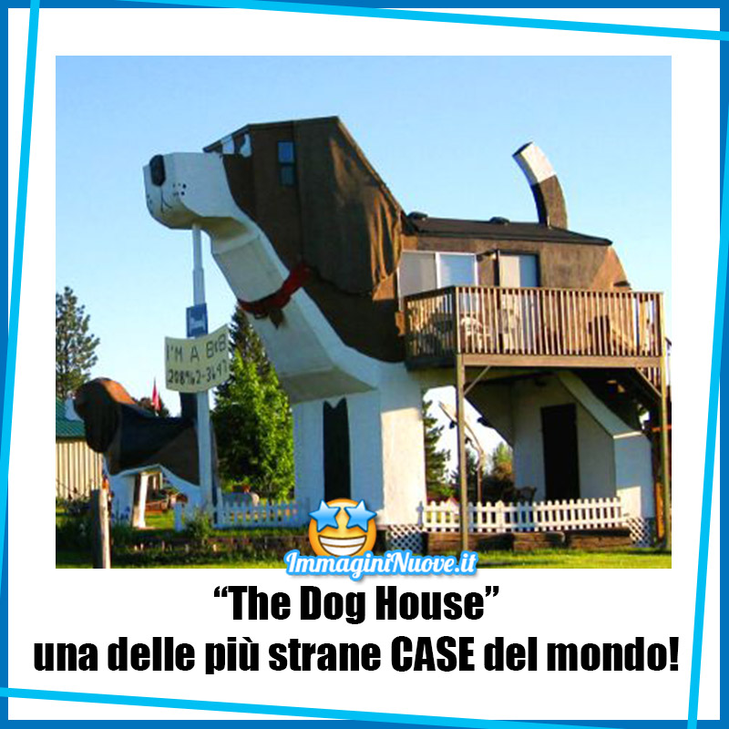 "The Dog House" una delle più strane CASE del mondo !