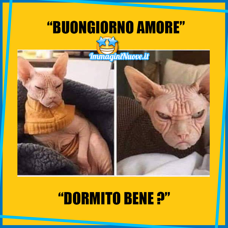 "BUONGIORNO AMORE, DORMITO BENE?"