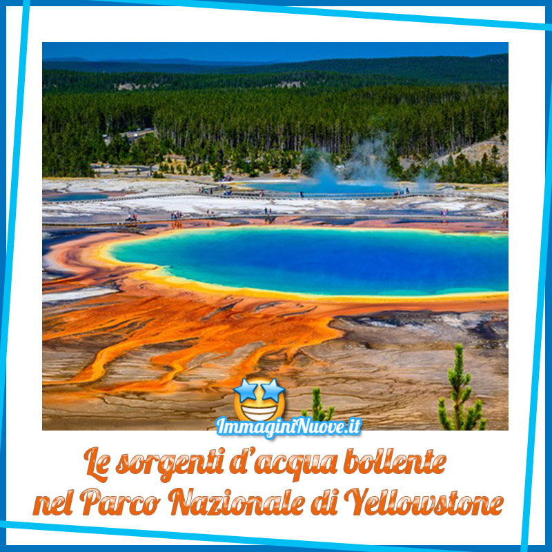 Le sorgenti d'acqua bollente nel Parco Nazionale di Yellowstone