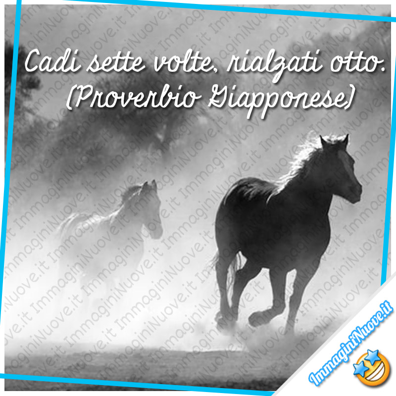 "Cadi sette volte, rialzati otto." (Proverbio Giapponese)