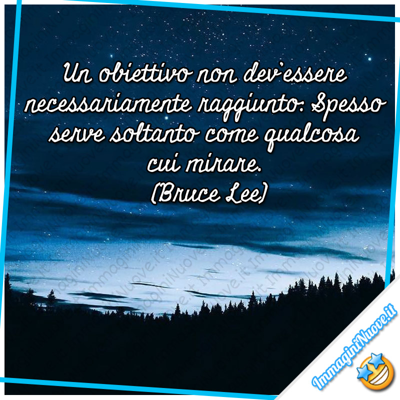 "Un obiettivo non dev’essere necessariamente raggiunto: spesso serve soltanto come qualcosa cui mirare." (Bruce Lee)