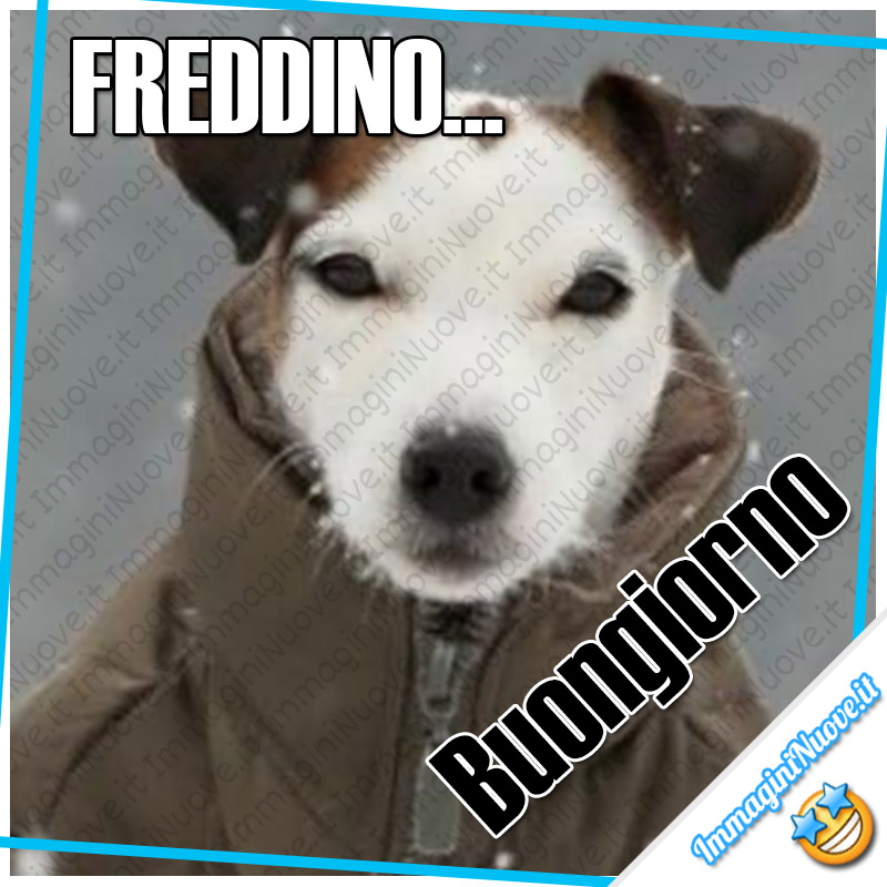 "FREDDINO... Buongiorno"