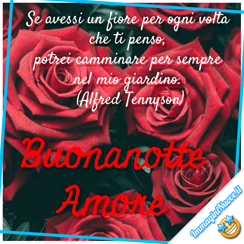 "Se avessi un fiore per ogni volta che ti penso, potrei camminare per sempre nel mio giardino." (Alfred Tennyson) - Buonanotte Amore