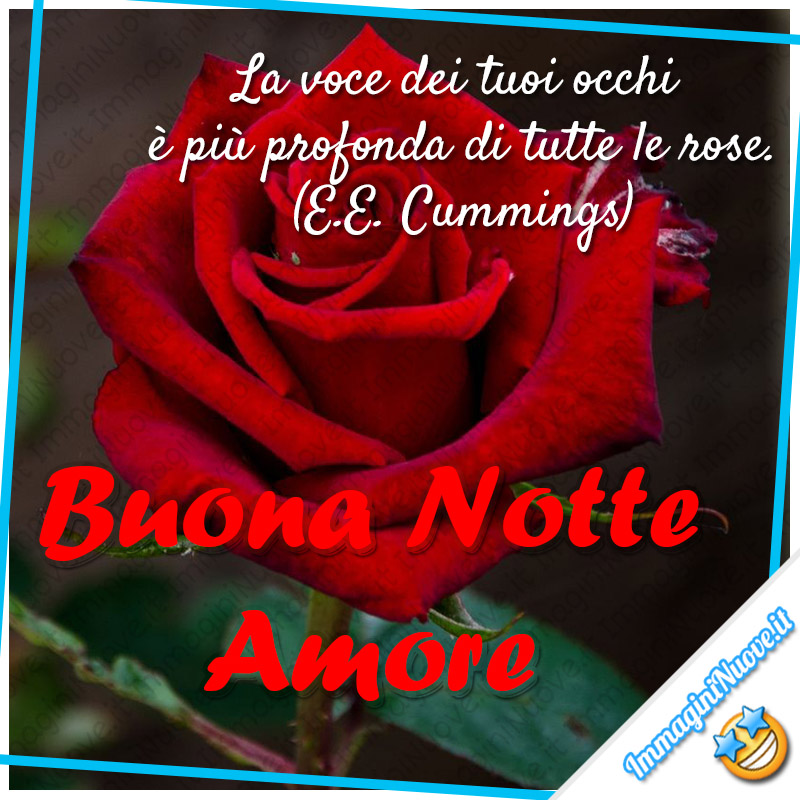 Buona Notte Amore - "La voce dei tuoi occhi è più profonda di tutte le rose." (E.E. Cummings)