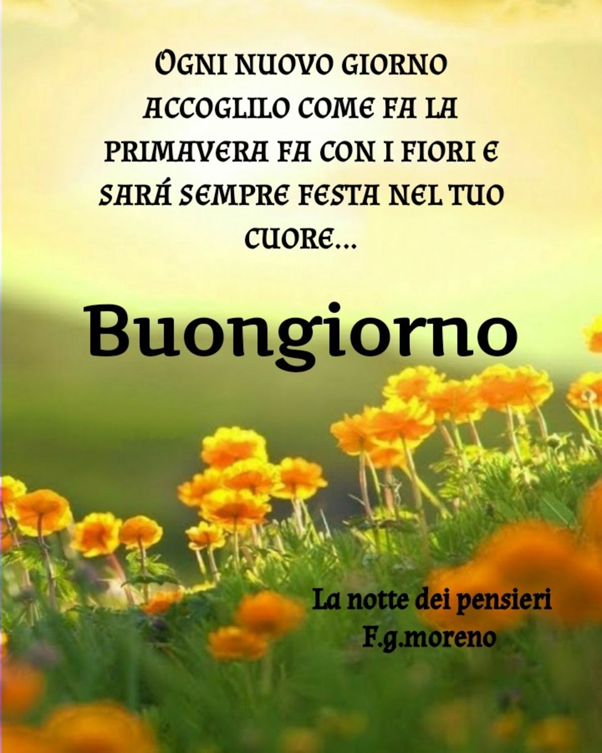 Ogni nuovo giorno accoglilo come fa la primavera fa con i fiori e sarà sempre festa nel tuo cuore... Buongiorno