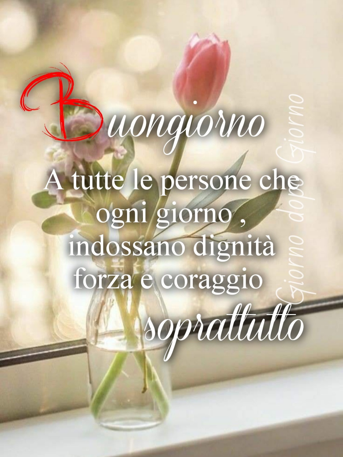 Buongiorno a tutte le persone che ogni giorno, indossano dignità, forza e coraggio soprattutto.