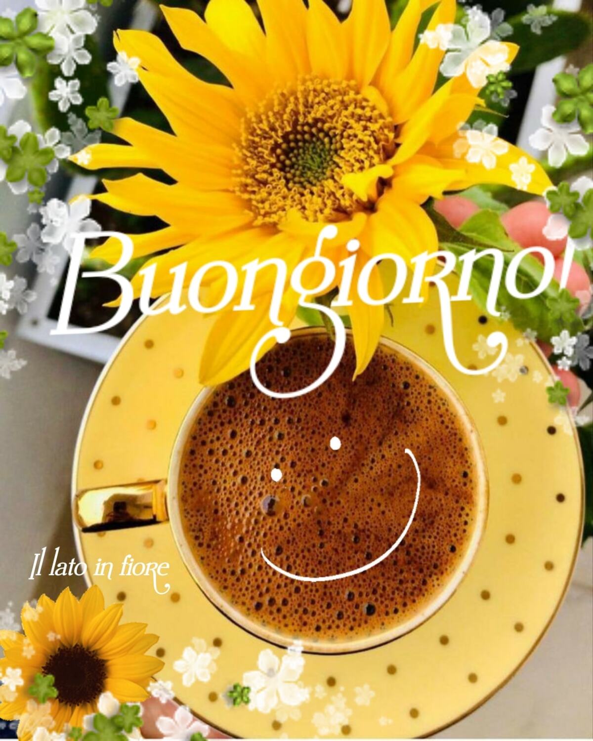 Buongiorno immagini con il sorriso