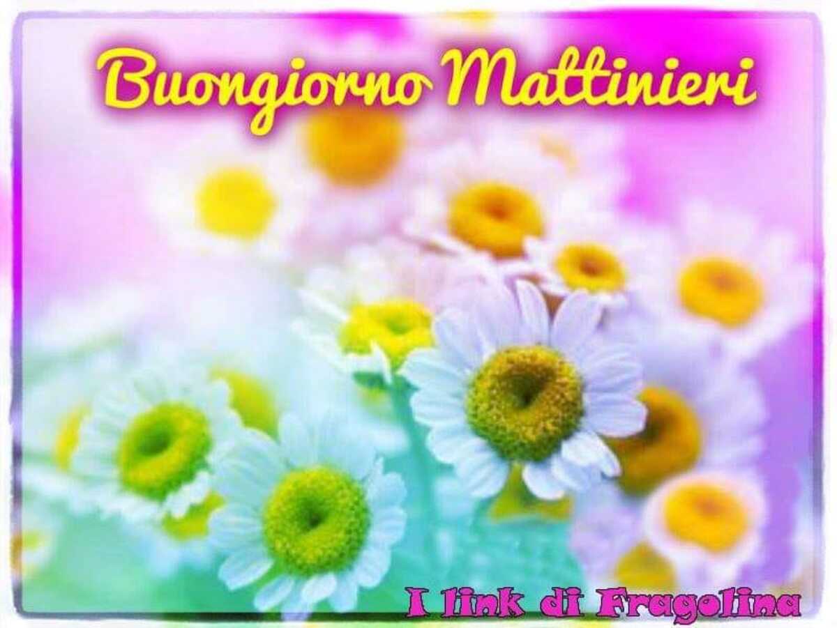 Buongiorno Mattinieri