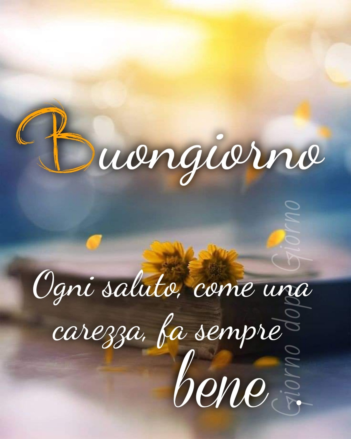 Buongiorno. Ogni saluto, come una carezza, fa sempre bene.