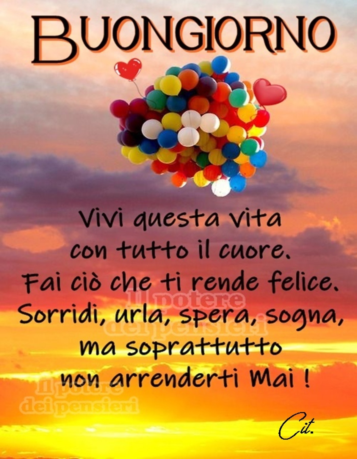 Buongiorno. Vivi questa vita con tutto il cuore. Fai ciò che ti rende felice. Sorridi, urla, spera, sogna, ma soprattutto non arrenderti mai!